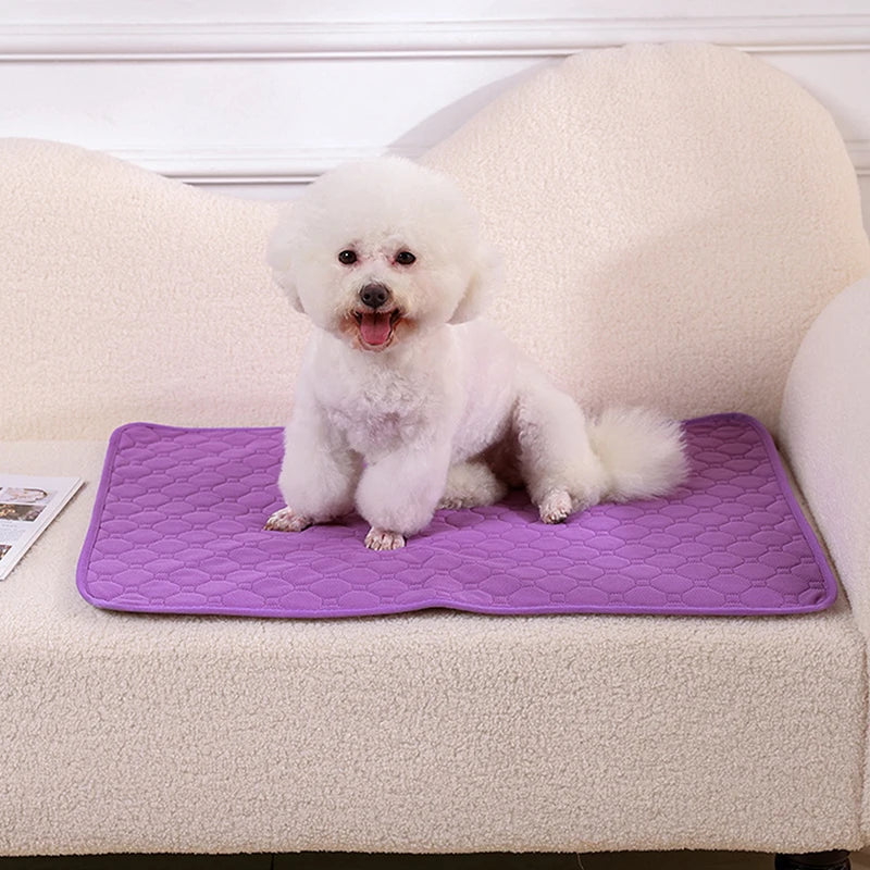 Reusable Dog Pee Pad Blanket Absorbent Diaper Washable Puppy Training Pad Pet Bed Urine Mat for Pet Car Seat Cover Pet Supplies