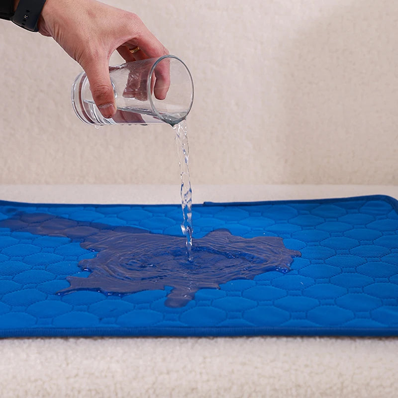Reusable Dog Pee Pad Blanket Absorbent Diaper Washable Puppy Training Pad Pet Bed Urine Mat for Pet Car Seat Cover Pet Supplies