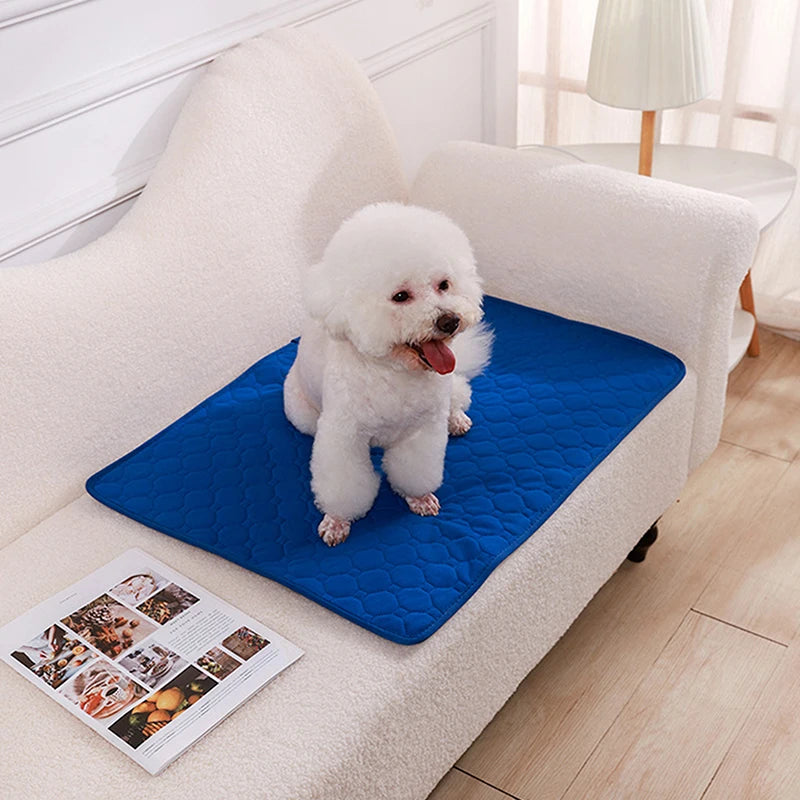 Reusable Dog Pee Pad Blanket Absorbent Diaper Washable Puppy Training Pad Pet Bed Urine Mat for Pet Car Seat Cover Pet Supplies